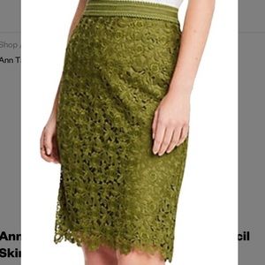 Ann Taylor Green Floral Lace Pencil Skirt (14)